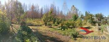 Бревенчатый дом в СНТ Ветеран в Гурзуфе - gurzuf.yutvil.ru - фото 12 Бревенчатый дом в СНТ Ветеран в Гурзуфе - gurzuf.yutvil.ru - фото 12