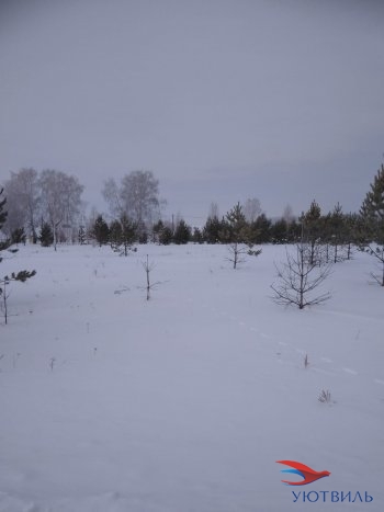 Земельный участок поселок Баженово в Гурзуфе - gurzuf.yutvil.ru - фото 2 Земельный участок поселок Баженово в Гурзуфе - gurzuf.yutvil.ru - фото 2