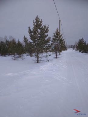 Баженово ул Южная д 7 в Гурзуфе - gurzuf.yutvil.ru - фото 1 Баженово ул Южная д 7 в Гурзуфе - gurzuf.yutvil.ru - фото 1