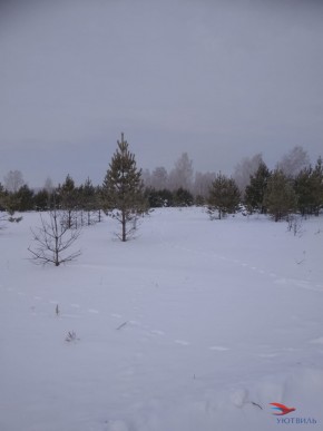Баженово ул Южная д 7 в Гурзуфе - gurzuf.yutvil.ru - фото 5