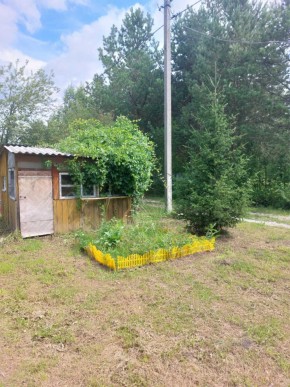 СНТ Родники в Гурзуфе - gurzuf.yutvil.ru - фото 1 СНТ Родники в Гурзуфе - gurzuf.yutvil.ru - фото 1