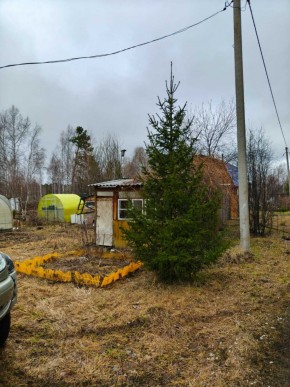 СНТ Родники в Гурзуфе - gurzuf.yutvil.ru - фото 5 СНТ Родники в Гурзуфе - gurzuf.yutvil.ru - фото 5