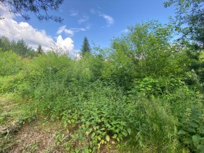 СПК Юбилейный, уч. 9 в Гурзуфе - gurzuf.yutvil.ru - фото 13 СПК Юбилейный, уч. 9 в Гурзуфе - gurzuf.yutvil.ru - фото 13