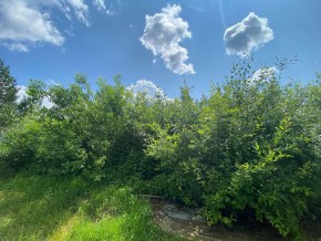 СПК Юбилейный, уч. 9 в Гурзуфе - gurzuf.yutvil.ru - фото 15 СПК Юбилейный, уч. 9 в Гурзуфе - gurzuf.yutvil.ru - фото 15