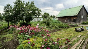 ул. 8-е Марта,46 в Гурзуфе - gurzuf.yutvil.ru - фото 10 ул. 8-е Марта,46 в Гурзуфе - gurzuf.yutvil.ru - фото 10