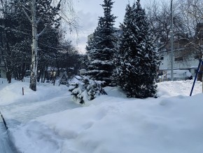 ул. 8 Марта,7 в Гурзуфе - gurzuf.yutvil.ru - фото 25
