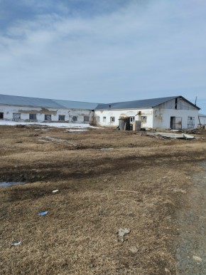 ул. Ленина,15а в Гурзуфе - gurzuf.yutvil.ru - фото 12 ул. Ленина,15а в Гурзуфе - gurzuf.yutvil.ru - фото 12