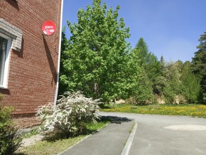 ул. Сосновая, 8 в Гурзуфе - gurzuf.yutvil.ru - фото 25