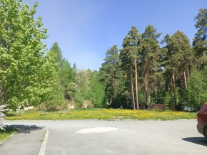 ул. Сосновая, 8 в Гурзуфе - gurzuf.yutvil.ru - фото 26