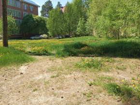 ул. Сосновая, 8 в Гурзуфе - gurzuf.yutvil.ru - фото 33